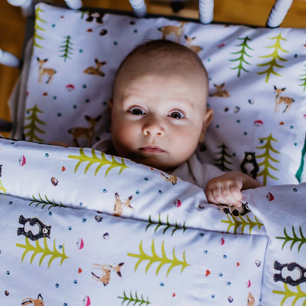 REVERSIBLE BABY BEDDING SET FOREST